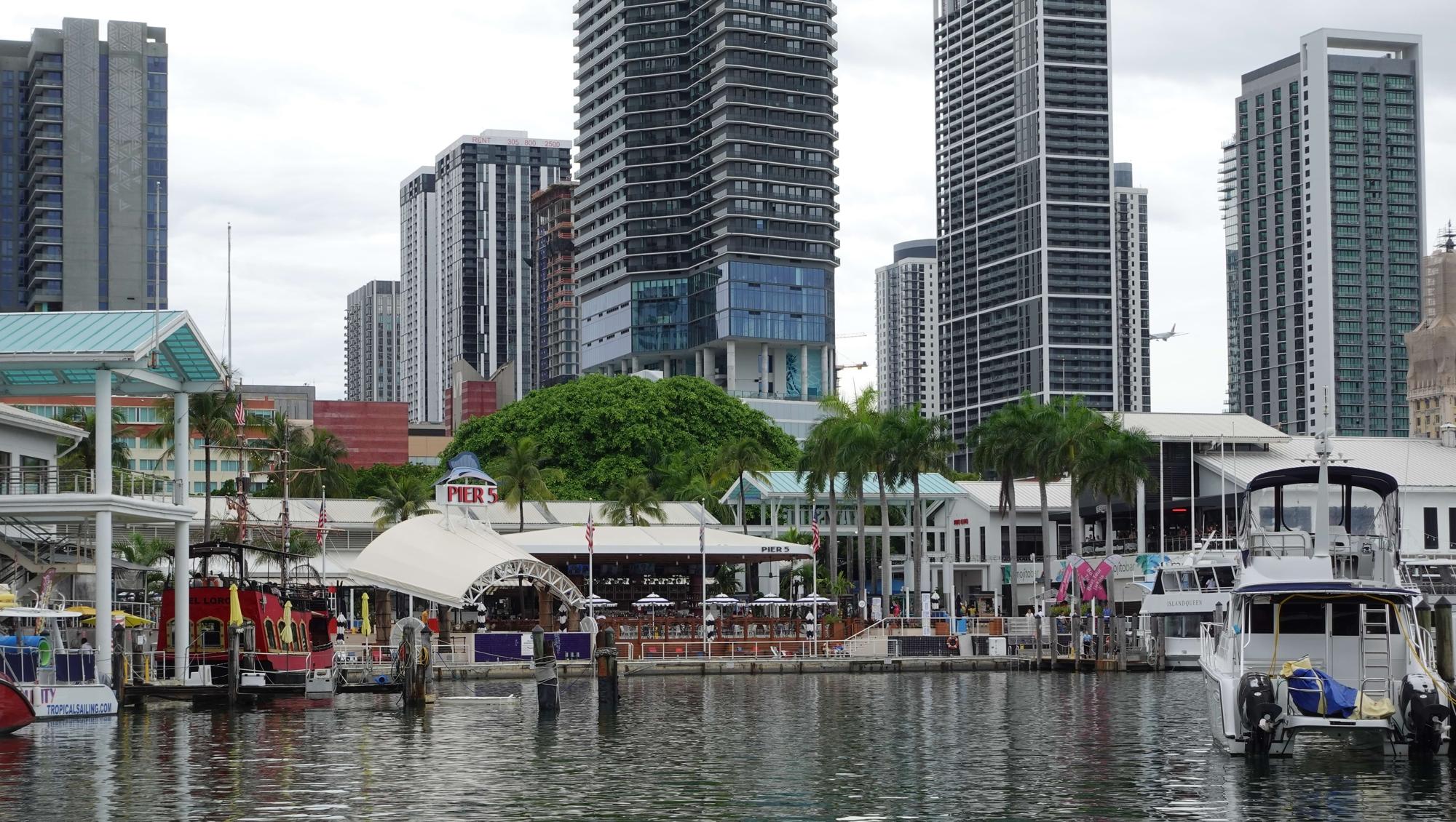 Chic and Chill: How Cannabis is Styling Miami’s Luxury Life